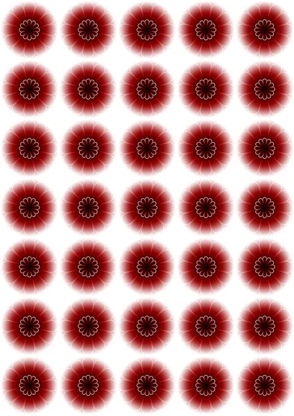 Okręgi w kolorze czerwonym i nakładają się na siebie z białe stokrotki — Zdjęcie stockowe
