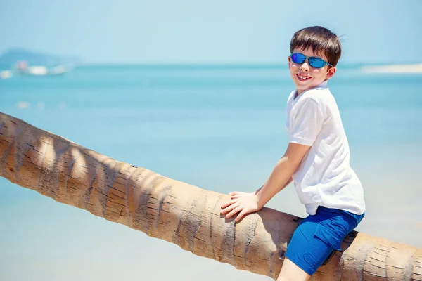 Cute little boy at tropical beach sitting on palm tree — Stock Photo, Image