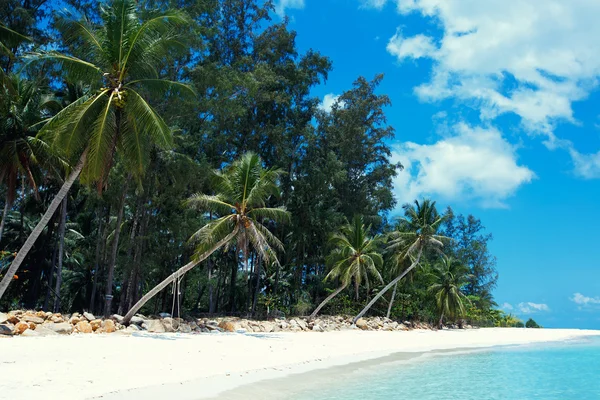 Playa de Malibú en la isla de Koh Phangan, Tailandia — Foto de Stock