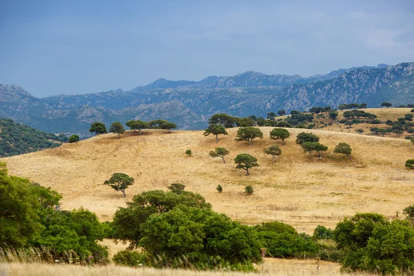 Ruhige ländliche Landschaft von Sardinen — Stockfoto