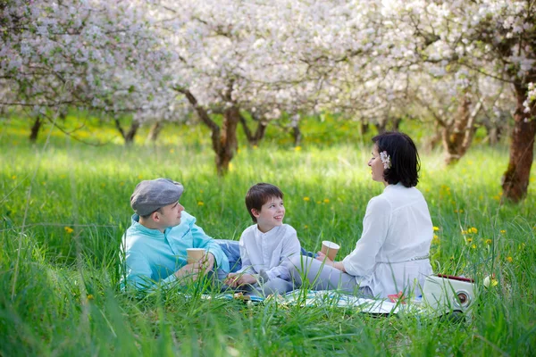 Ung familj picknick i blommande apple trädgård — Stockfoto