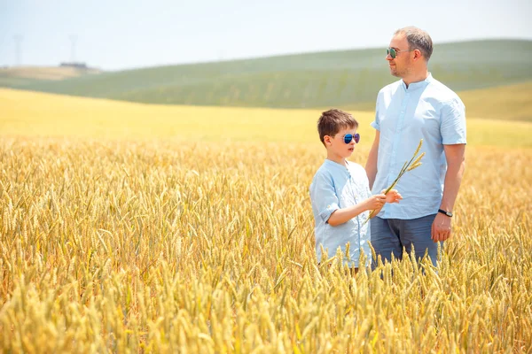 Pai feliz com o filhinho andando feliz no campo de trigo — Fotografia de Stock