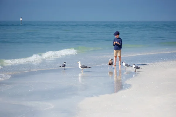 Cute little boy feeding seagulls on tropical beach — Stock Photo, Image