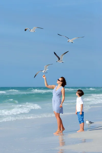 Joven madre y su pequeño hijo alimentando gaviotas en la playa tropical — Foto de Stock