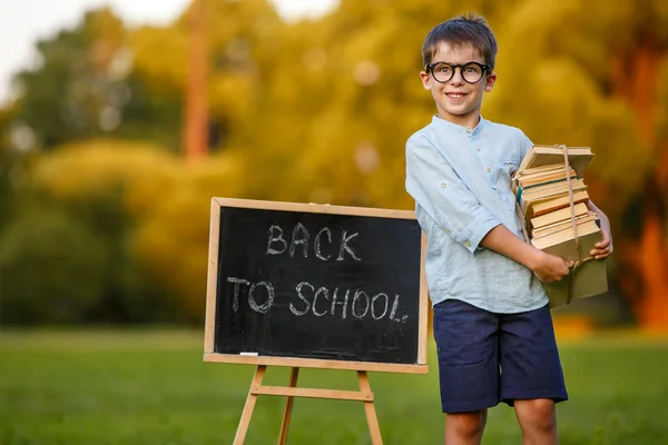 Söt liten skolpojke bär en trave böcker — Stockfoto