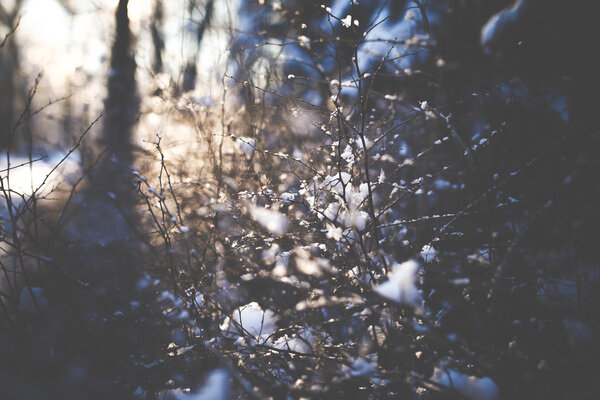 Закат зимой
