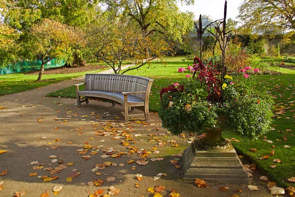 牛津植物园的一张旧木制长椅 牛津大学植物园是英国最古老的植物园 也是世界上最古老的科学园之一 免版税图库图片