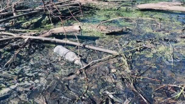 Flaska Förorenad Damm Stadspark Ekologisk Katastrof Miljöfrågor Miljöförorening Yauza Flodpark — Stockvideo