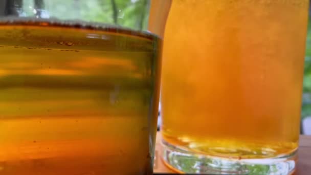 Vasos de cerveza fresca. Bebidas de verano. Concepto de renovación. Vídeo 4K — Vídeo de stock