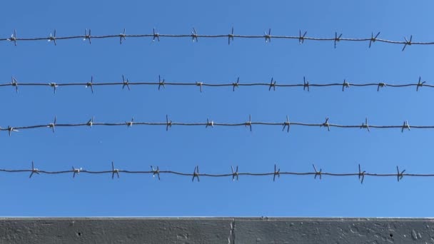 Ostnatý drát na plotě chráněné oblasti proti modré obloze. Koncept zabezpečené oblasti. Vězeňské zařízení, trestní ústav, vězeňská zeď. 4K video 3840x2160 — Stock video