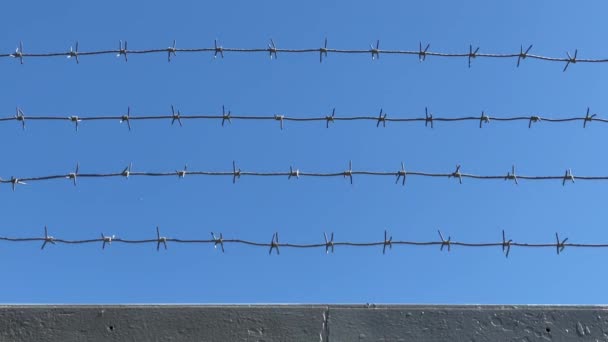 Alambre de púas en la cerca del área protegida contra el cielo azul. Concepto de área segura. Centro penitenciario, zona de instituciones penales, muro de la cárcel. 4K video 3840x2160 — Vídeo de stock