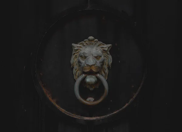 Door Knocker Shape Lion Lion Head Metal Door Knocker — Stock Photo, Image