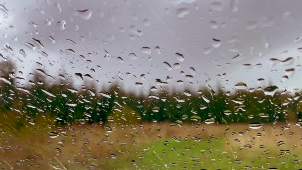 Nahaufnahme Regentropfen Auf Dem Glas Auf Buntem Frühherbsthintergrund Video Von — Stockvideo