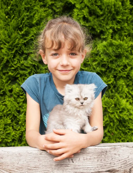 Junges Mädchen mit Kätzchen von persischer Katze — Stockfoto