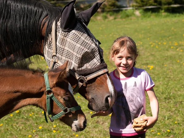 Portrait of girl feeding mare and foal with bread — Stock Photo, Image