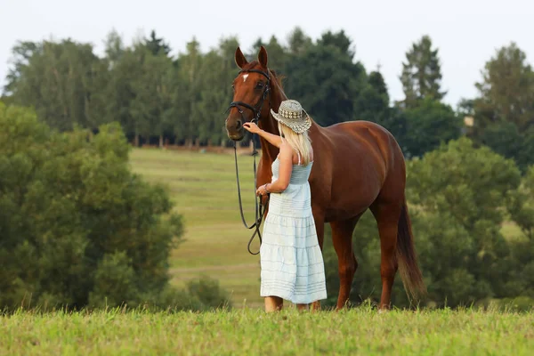 女性と馬の屋外の肖像画 夏の牧草地で女性と馬 ロマンティックシーン — ストック写真