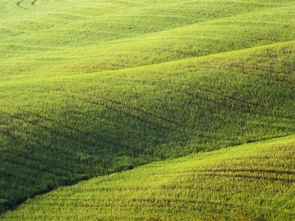 Campi in Italia - Toscana in primavera — Foto Stock