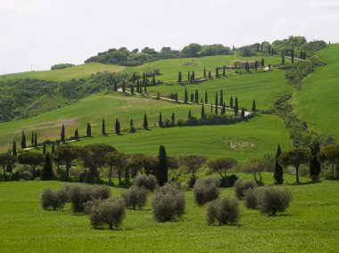 Tuscany tipik yol