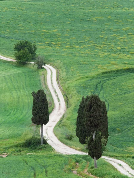 Toscana peisaj în primăvară — Fotografie, imagine de stoc