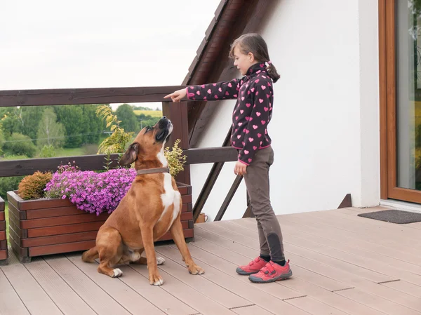 Mädchen trainiert großen Hund — Stockfoto