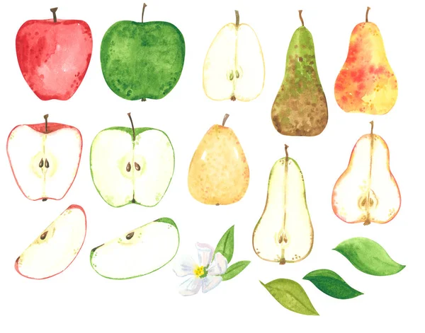 Apfel Und Birnenschneideset Cartoon Stil Handgezeichnete Aquarell Illustrationen Isoliert Auf — Stockfoto