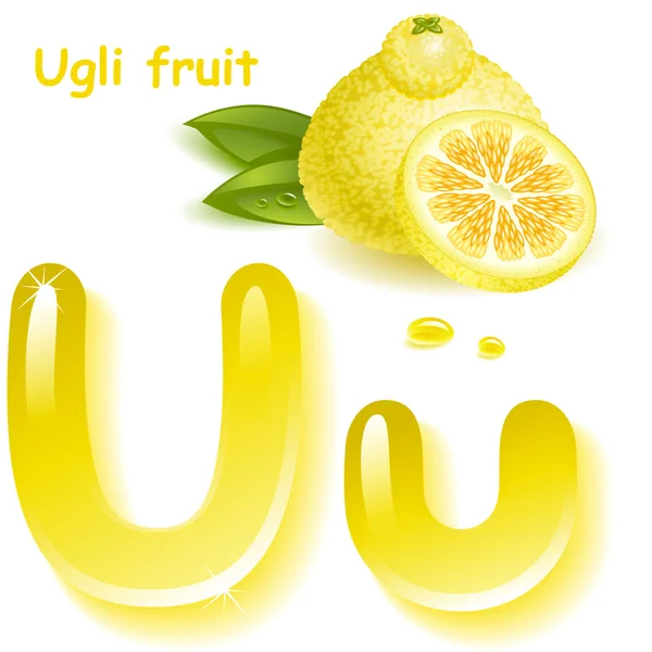 Buah Ugli Stok Vektor Ilustrasi Buah Ugli Bebas Royalti Depositphotos