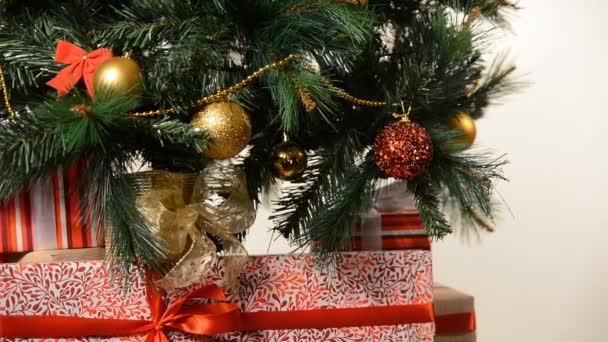 Box with ribbon under cute christmas fir tree — Stock Video