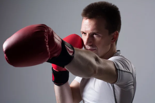 Close-up portrait of boxer — Stock Photo, Image