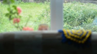 Köyde penceresinden görüntülemek