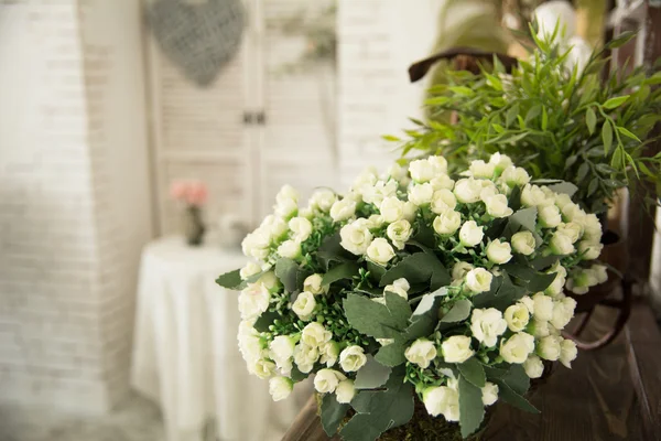 Vase with white small flowers in the interio — Stock Photo, Image