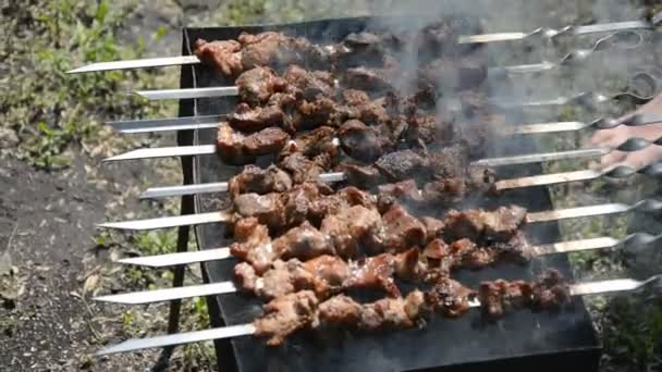 Shashlik grill over coals. — Stock Video