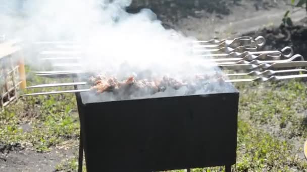 Приготовление вкусного мясного барбекю на шампуре — стоковое видео