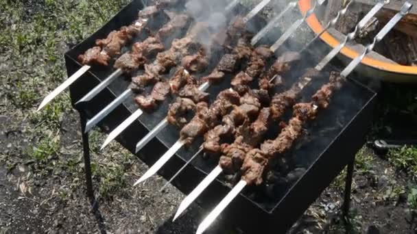 Griglia di Shashlik sopra carboni . — Video Stock