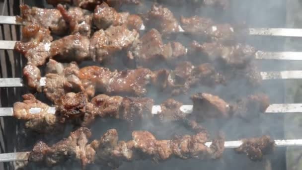 Carne girando en un pincho — Vídeos de Stock