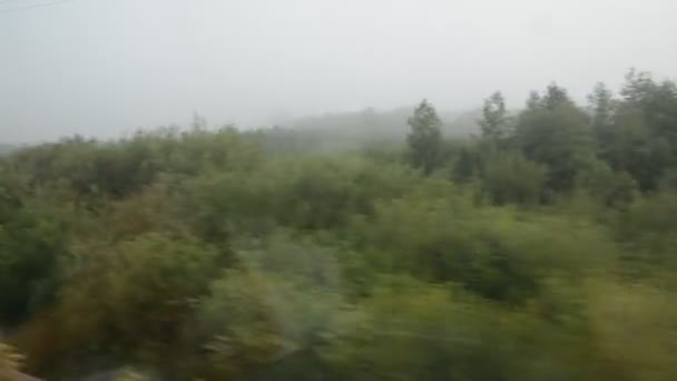 Fensterblick aus dem Zug — Stockvideo