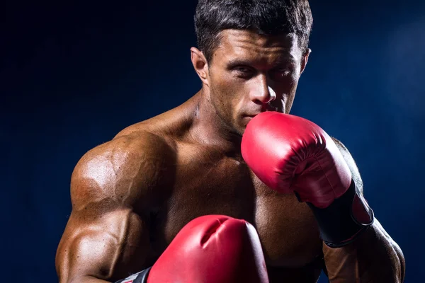 Nahaufnahme Porträt eines Boxers in roten Boxhandschuhen auf dunkelblauem B — Stockfoto