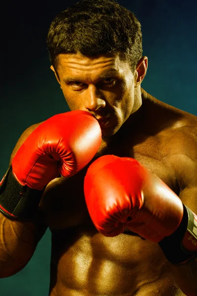 Homem atlético forte em luvas de boxe . — Fotografia de Stock