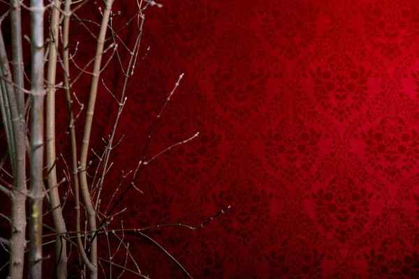 Branch of a tree on a red background with a pattern. — Stock Photo, Image