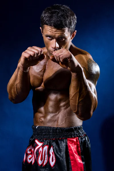 Fighter in a rack with fists on a blue background — Stock Photo, Image