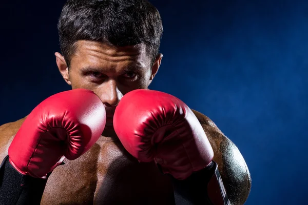 Sterke gespierde bokser in rode bokshandschoenen op een blauwe achtergrond. — Stockfoto