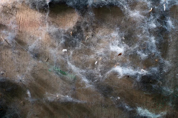 El fondo de los pedazos viejos de la piel sobre la superficie de madera —  Fotos de Stock