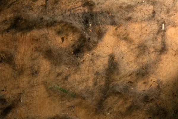 El fondo de los pedazos viejos de la piel sobre la superficie de madera — Foto de Stock