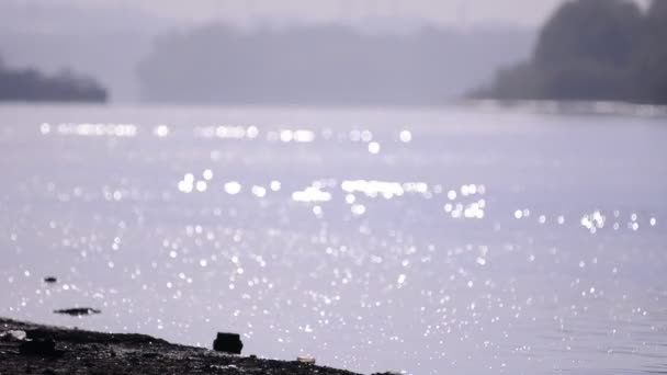 Gnistrande vågigt vatten skiner på en solig sommardag, abstrakt suddig bakgrund vid floden — Stockvideo