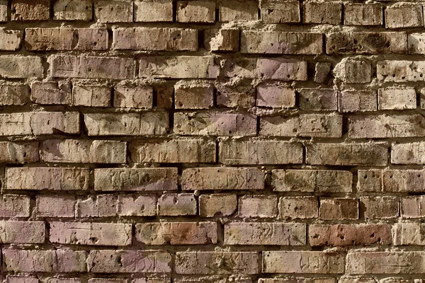 Old brick wall background. — Stock Photo, Image