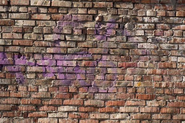 Old brick wall background with elements of paint. — Stock Photo, Image