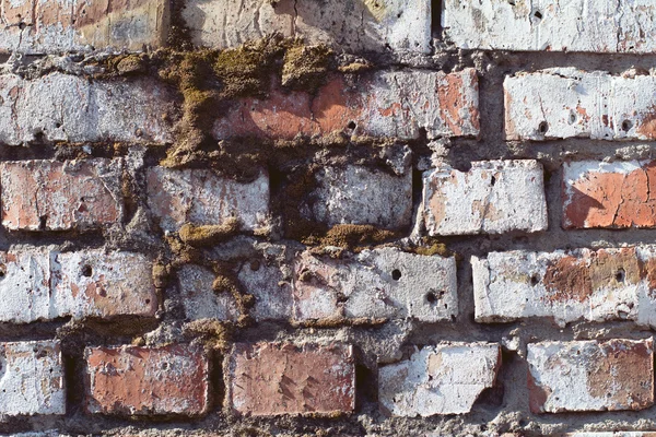 Close up of old brick wall background — Stock Photo, Image