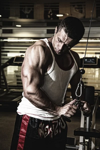 Bodybuilder trains the muscles in the gym — Stock Photo, Image