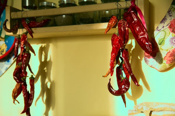 Grupa suszone czerwone papryki chili na sznurku — Zdjęcie stockowe