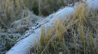 Hoarfrost yaslanmış günlük ve çim sabahı.