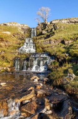 Güneşli bir günde mavi gökyüzü ile Wharfedale Yorkshire 'a düşer.
